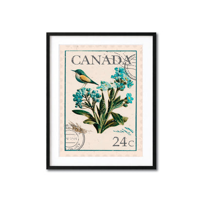 Canada Vintage Postage Stamp Botanical Art Print