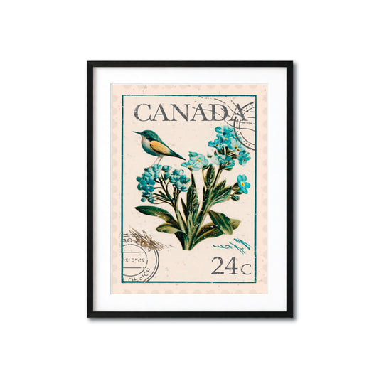Canada Vintage Postage Stamp Botanical Art Print